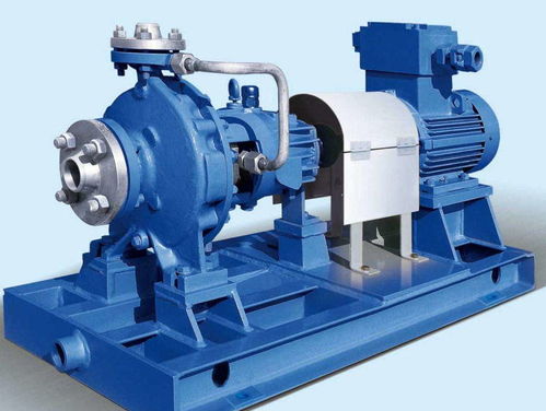 99re网址进入最新地址wwwdagecom